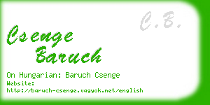 csenge baruch business card